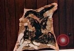 Image of Tattoo skin of concentration camp victims Ettersberg Germany, 1945, second 39 stock footage video 65675055283