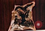 Image of Tattoo skin of concentration camp victims Ettersberg Germany, 1945, second 40 stock footage video 65675055283