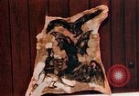 Image of Tattoo skin of concentration camp victims Ettersberg Germany, 1945, second 41 stock footage video 65675055283