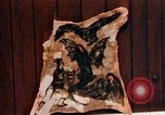 Image of Tattoo skin of concentration camp victims Ettersberg Germany, 1945, second 42 stock footage video 65675055283
