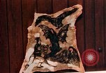 Image of Tattoo skin of concentration camp victims Ettersberg Germany, 1945, second 43 stock footage video 65675055283