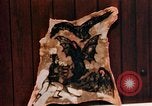 Image of Tattoo skin of concentration camp victims Ettersberg Germany, 1945, second 44 stock footage video 65675055283