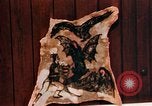 Image of Tattoo skin of concentration camp victims Ettersberg Germany, 1945, second 45 stock footage video 65675055283