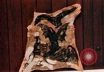 Image of Tattoo skin of concentration camp victims Ettersberg Germany, 1945, second 46 stock footage video 65675055283
