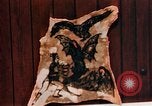 Image of Tattoo skin of concentration camp victims Ettersberg Germany, 1945, second 48 stock footage video 65675055283