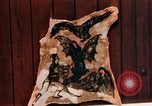 Image of Tattoo skin of concentration camp victims Ettersberg Germany, 1945, second 50 stock footage video 65675055283
