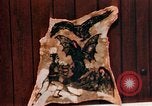 Image of Tattoo skin of concentration camp victims Ettersberg Germany, 1945, second 51 stock footage video 65675055283