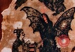 Image of Tattoo skin of concentration camp victims Ettersberg Germany, 1945, second 62 stock footage video 65675055283