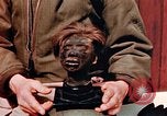 Image of Human skins and Nazi concentration camp atrocities Ettersberg Germany, 1945, second 32 stock footage video 65675055284