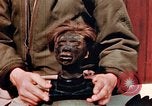 Image of Human skins and Nazi concentration camp atrocities Ettersberg Germany, 1945, second 33 stock footage video 65675055284