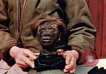 Image of Human skins and Nazi concentration camp atrocities Ettersberg Germany, 1945, second 34 stock footage video 65675055284