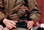 Image of Human skins and Nazi concentration camp atrocities Ettersberg Germany, 1945, second 49 stock footage video 65675055284