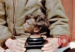 Image of Human skins and Nazi concentration camp atrocities Ettersberg Germany, 1945, second 55 stock footage video 65675055284