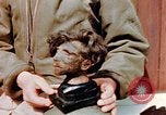 Image of Human skins and Nazi concentration camp atrocities Ettersberg Germany, 1945, second 59 stock footage video 65675055284