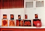 Image of Buchenwald Concentration Camp cutaway body specimens Ettersberg Germany, 1945, second 3 stock footage video 65675055285