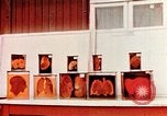 Image of Buchenwald Concentration Camp cutaway body specimens Ettersberg Germany, 1945, second 5 stock footage video 65675055285
