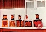 Image of Buchenwald Concentration Camp cutaway body specimens Ettersberg Germany, 1945, second 6 stock footage video 65675055285