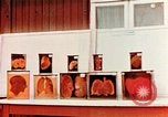 Image of Buchenwald Concentration Camp cutaway body specimens Ettersberg Germany, 1945, second 8 stock footage video 65675055285