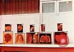 Image of Buchenwald Concentration Camp cutaway body specimens Ettersberg Germany, 1945, second 10 stock footage video 65675055285