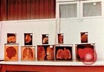 Image of Buchenwald Concentration Camp cutaway body specimens Ettersberg Germany, 1945, second 12 stock footage video 65675055285