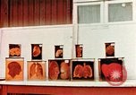 Image of Buchenwald Concentration Camp cutaway body specimens Ettersberg Germany, 1945, second 13 stock footage video 65675055285