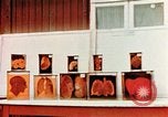 Image of Buchenwald Concentration Camp cutaway body specimens Ettersberg Germany, 1945, second 14 stock footage video 65675055285