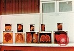 Image of Buchenwald Concentration Camp cutaway body specimens Ettersberg Germany, 1945, second 15 stock footage video 65675055285