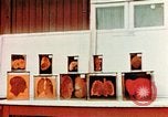 Image of Buchenwald Concentration Camp cutaway body specimens Ettersberg Germany, 1945, second 16 stock footage video 65675055285