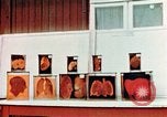 Image of Buchenwald Concentration Camp cutaway body specimens Ettersberg Germany, 1945, second 21 stock footage video 65675055285