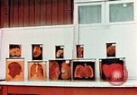 Image of Buchenwald Concentration Camp cutaway body specimens Ettersberg Germany, 1945, second 22 stock footage video 65675055285
