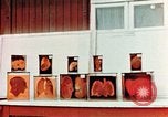 Image of Buchenwald Concentration Camp cutaway body specimens Ettersberg Germany, 1945, second 23 stock footage video 65675055285