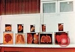 Image of Buchenwald Concentration Camp cutaway body specimens Ettersberg Germany, 1945, second 27 stock footage video 65675055285
