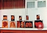 Image of Buchenwald Concentration Camp cutaway body specimens Ettersberg Germany, 1945, second 32 stock footage video 65675055285