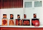 Image of Buchenwald Concentration Camp cutaway body specimens Ettersberg Germany, 1945, second 39 stock footage video 65675055285