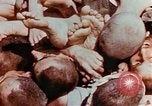 Image of Buchenwald Concentration Camp atrocities revealed Germany, 1945, second 9 stock footage video 65675055292