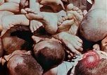 Image of Buchenwald Concentration Camp atrocities revealed Germany, 1945, second 10 stock footage video 65675055292