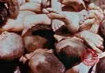 Image of Buchenwald Concentration Camp atrocities revealed Germany, 1945, second 12 stock footage video 65675055292
