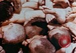 Image of Buchenwald Concentration Camp atrocities revealed Germany, 1945, second 13 stock footage video 65675055292