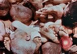 Image of Buchenwald Concentration Camp atrocities revealed Germany, 1945, second 21 stock footage video 65675055292