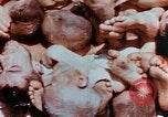 Image of Buchenwald Concentration Camp atrocities revealed Germany, 1945, second 22 stock footage video 65675055292