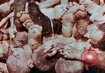 Image of Buchenwald Concentration Camp atrocities revealed Germany, 1945, second 32 stock footage video 65675055292