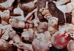 Image of Buchenwald Concentration Camp atrocities revealed Germany, 1945, second 34 stock footage video 65675055292