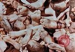 Image of Buchenwald Concentration Camp atrocities revealed Germany, 1945, second 36 stock footage video 65675055292