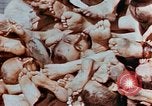 Image of Buchenwald Concentration Camp atrocities revealed Germany, 1945, second 37 stock footage video 65675055292