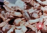 Image of Buchenwald Concentration Camp atrocities revealed Germany, 1945, second 39 stock footage video 65675055292