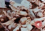 Image of Buchenwald Concentration Camp atrocities revealed Germany, 1945, second 40 stock footage video 65675055292