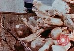 Image of Buchenwald Concentration Camp atrocities revealed Germany, 1945, second 42 stock footage video 65675055292