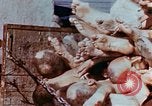 Image of Buchenwald Concentration Camp atrocities revealed Germany, 1945, second 45 stock footage video 65675055292