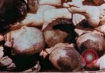 Image of Buchenwald Concentration Camp atrocities revealed Germany, 1945, second 51 stock footage video 65675055292