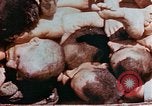 Image of Buchenwald Concentration Camp atrocities revealed Germany, 1945, second 53 stock footage video 65675055292